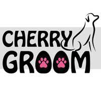 Груминг салон Cherry Groom в Вишневом, стрижка собак та котів