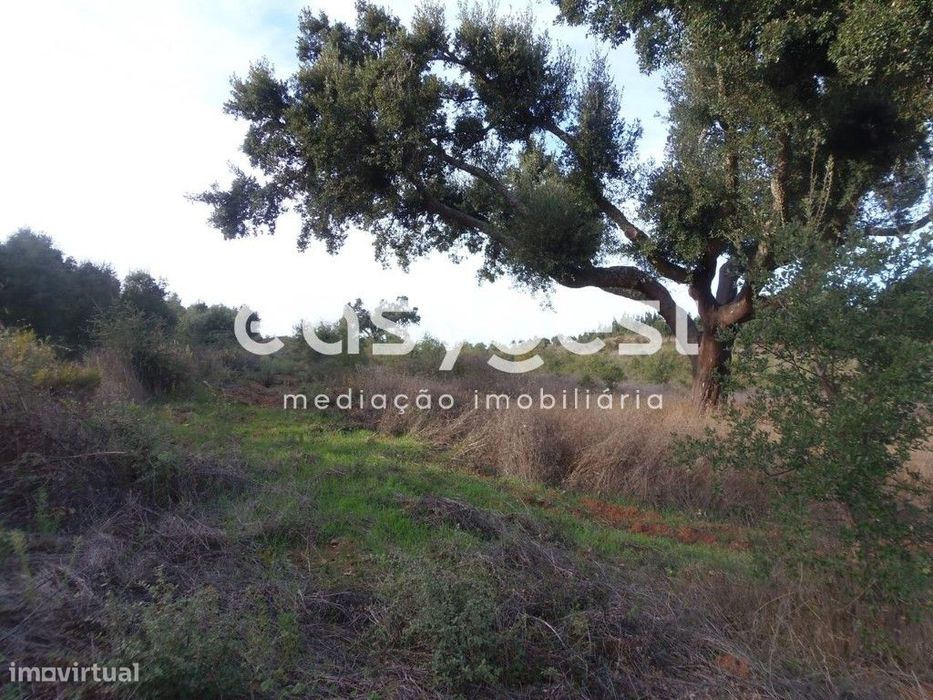 Terreno 3ha Cercal do Alentejo