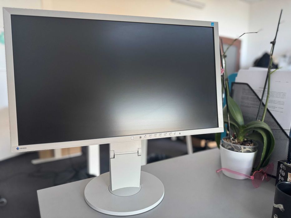 Monitor Eizo/Dell dużo sztuk