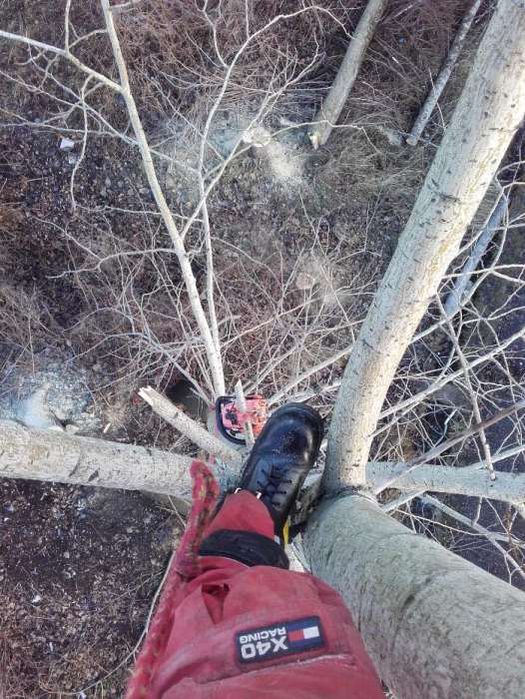 Drzewołaz wycinanie drzew wysokościowe rębak