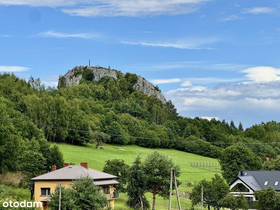 Działka tuż pod Grodziskiem (Skała 502)