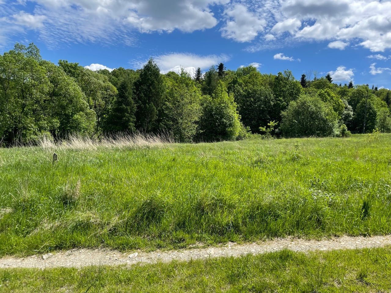 Beskid Niski.  Działka ze stodołą murowaną. 25 arów. Męcina Mała