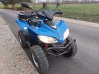 Quad SYM Track Runner 180.