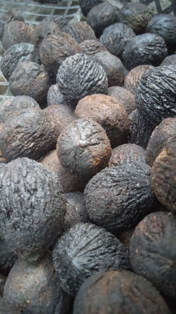 Плоды черного ореха, чорний горіх, Black Walnut