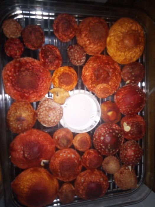 Продам телевізор LG зі смарт тв