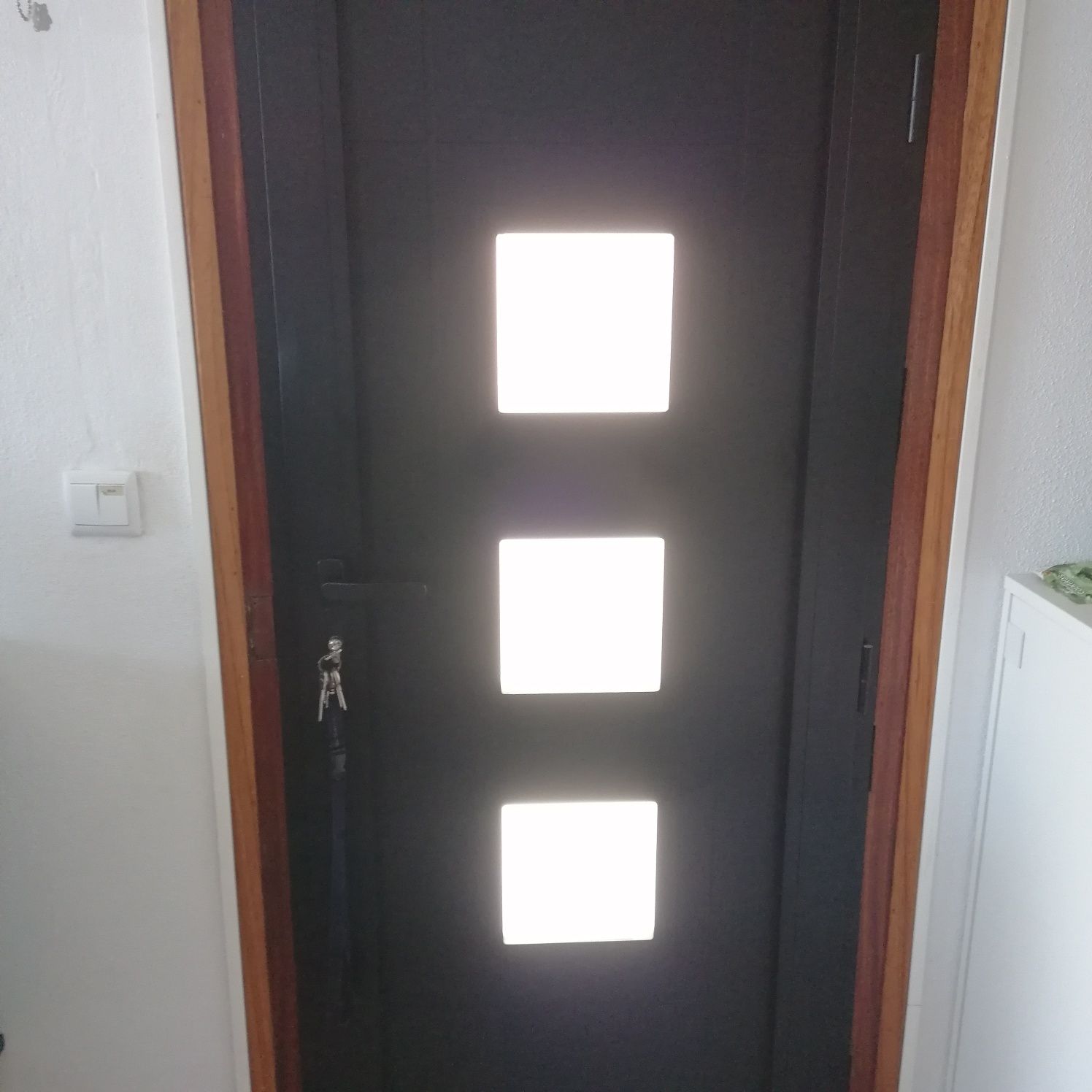 Painel de porta com vidro