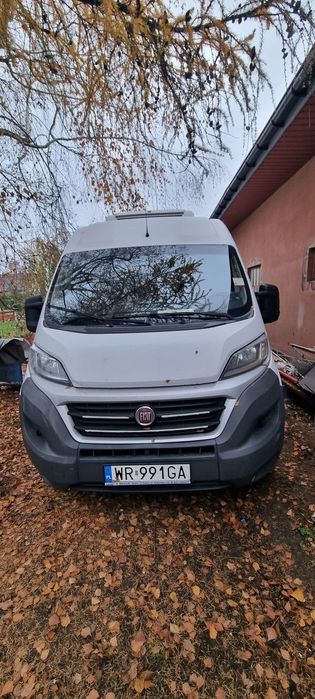 Fiat Ducato  Chłodnia Ducato 2016 okazyjna cena Sprawny!