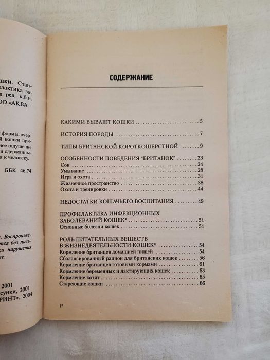 Британские короткошерстные кошки.