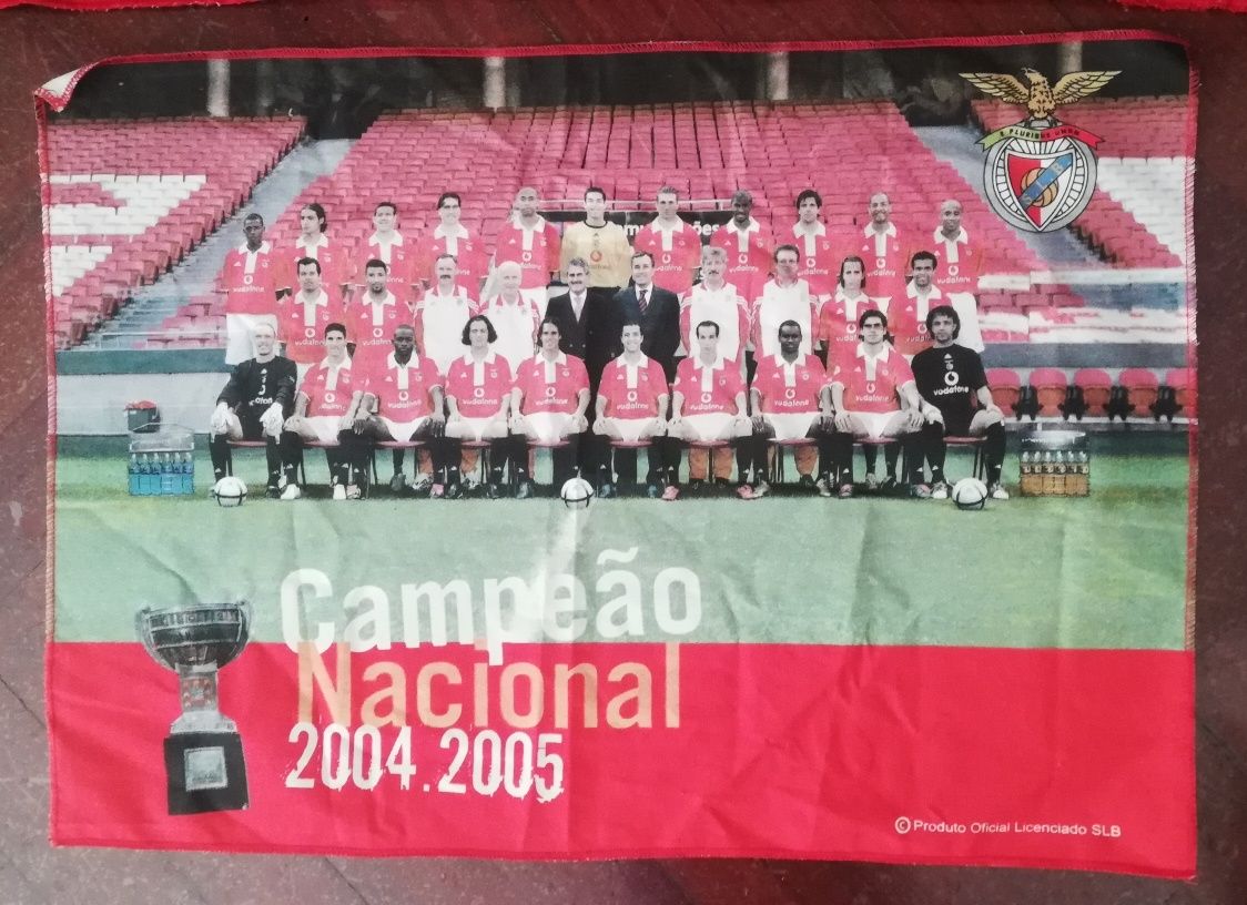 Pano.Benfica campeão 2004