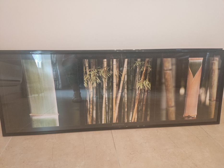 Quadros - moldura preta