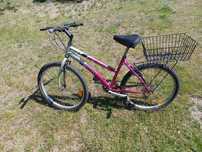 Rower eagle whellworx 24 "