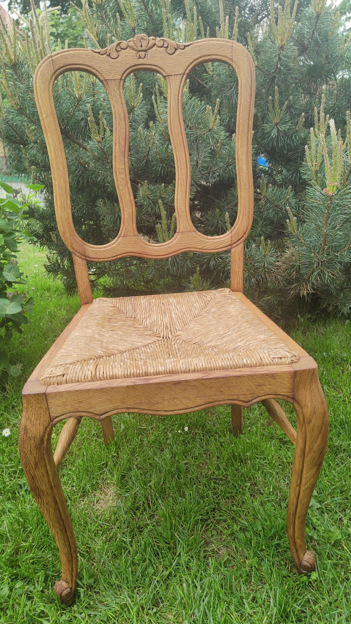 Krzesła w stylu Ludwikowskim, 6 szt. odnowione krzesła