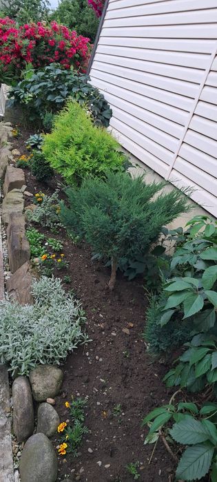 Відпочинок у Ворохті "Сімейний котедж"