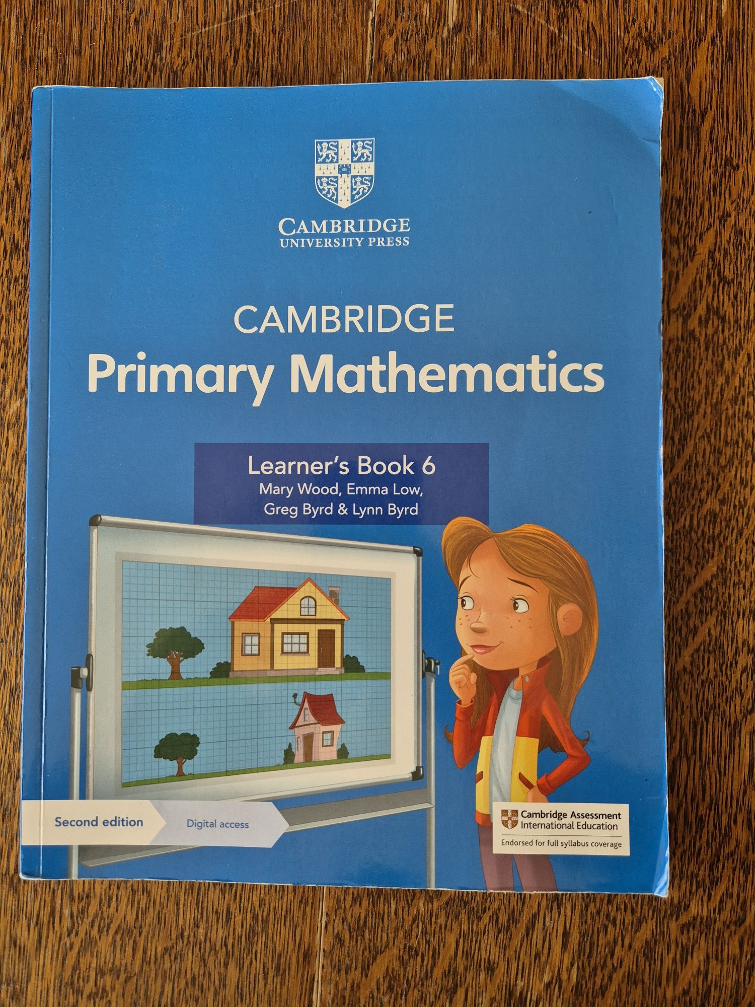 Cambridge Primary Math Learner's book 6