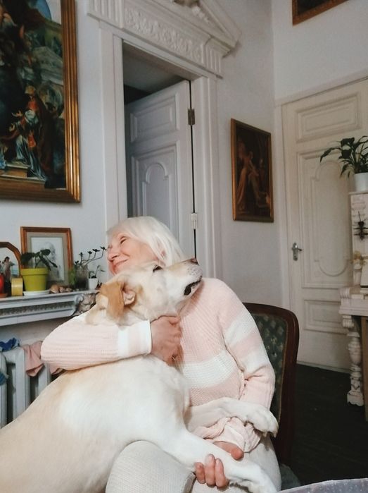 Передержка, отель для животных (кошечки, собачки)