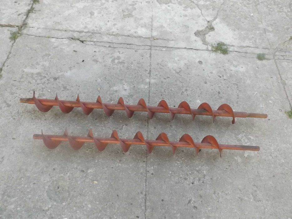 Zmyjki zborzowe /ślimaki transportowe