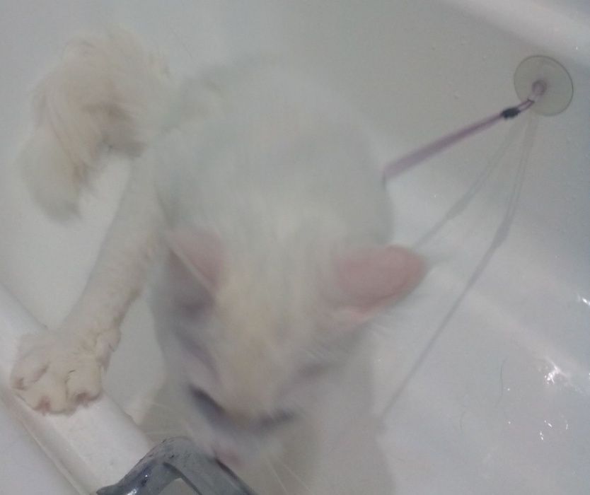 Привязь для ванной для купания котов и собак - 43 см.