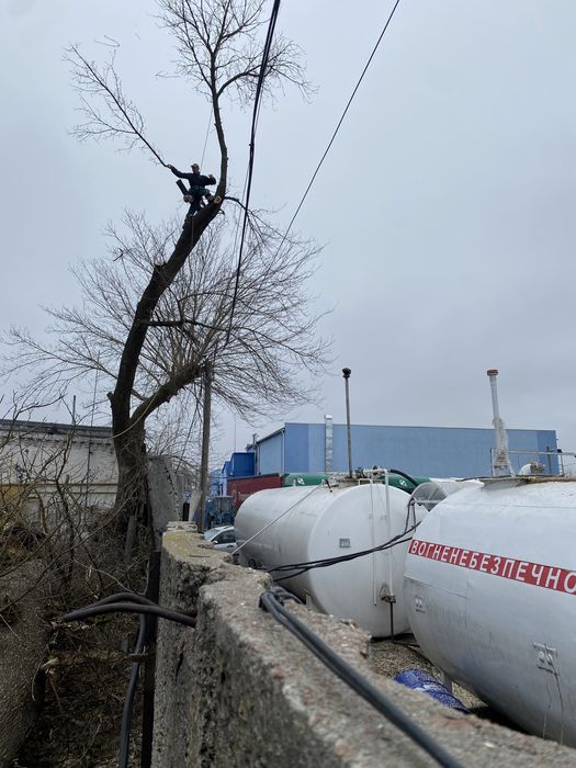 Зрізання дерев, Спил частинами, Кронування, Валка, Обрізка, Корчування