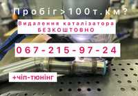 Видалення каталізатора Безкоштовно Відключення клапана ЄГР ЄВРО2 Гар-я