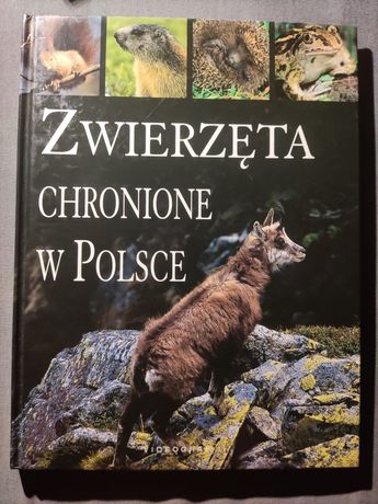 Książka Zwierzęta chronione w Polsce