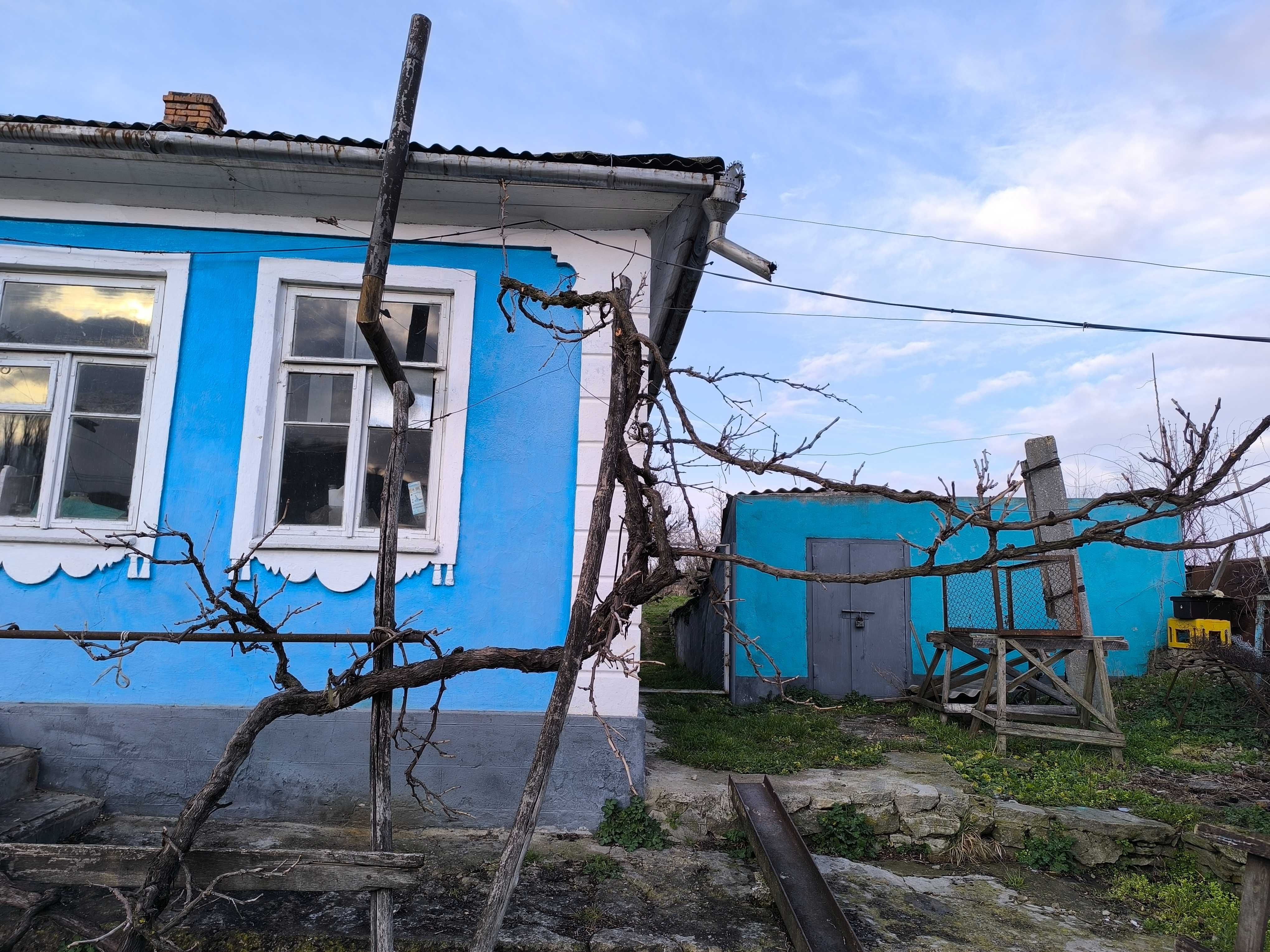 Продається будинок в селі Серебрія