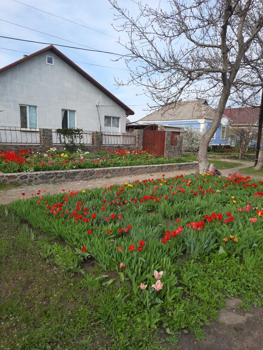 Продається будинок від власника район 4 школи