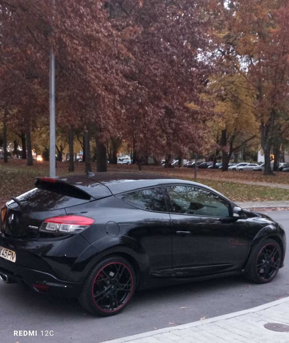 Renault sport  Megane RS 265