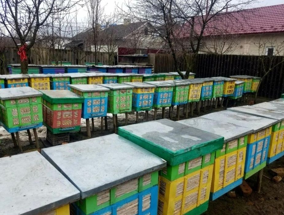 Продам вулики...