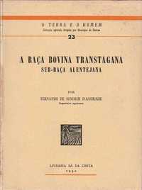 A raça bovina transtagana – Sub-raça alentejana