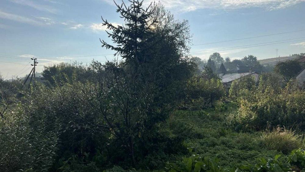 Земля, Будівництво, Бібрка, Львівська область