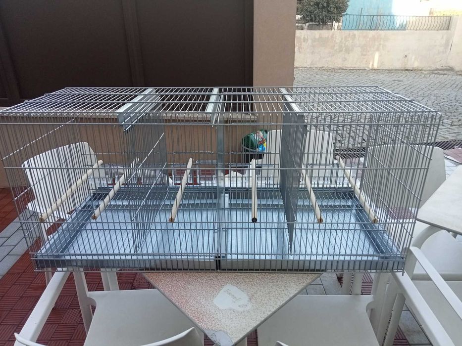 Gaiolas para canários