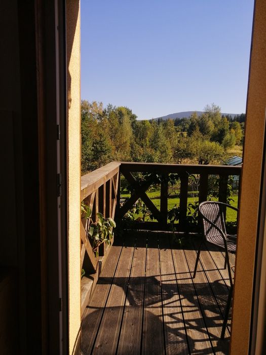 Apartament, pokoje gościnne przy lesie