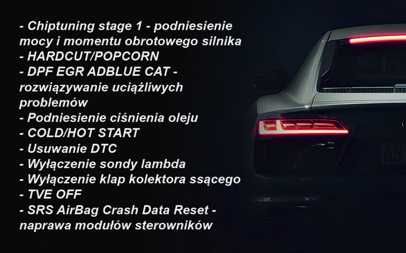 Chip tuning Chiptuning, naprawa DPF EGR ADBLUE - TuneZone