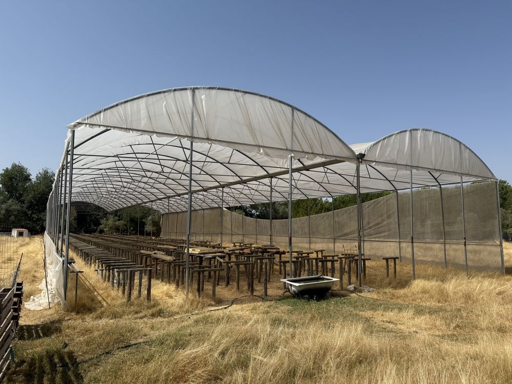 Estufa para produção agricola