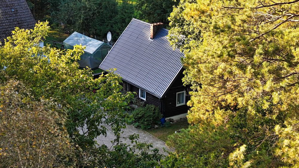 Domek w środku lasu! Na wynajem!