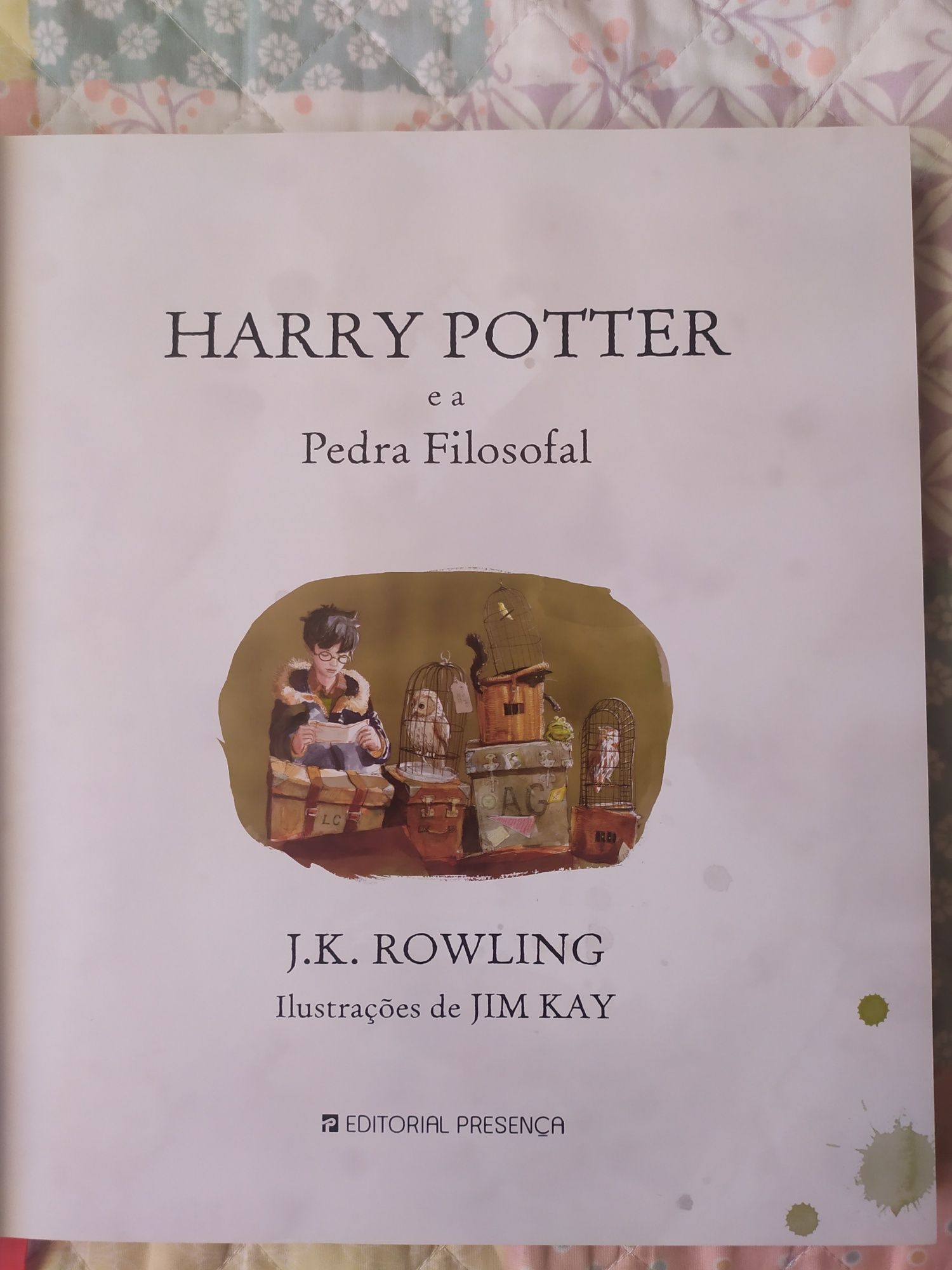 Livro Harry Potter e a Pedra Filosofal ilustrado