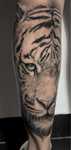 Tatuagem promo 5 por 100 €