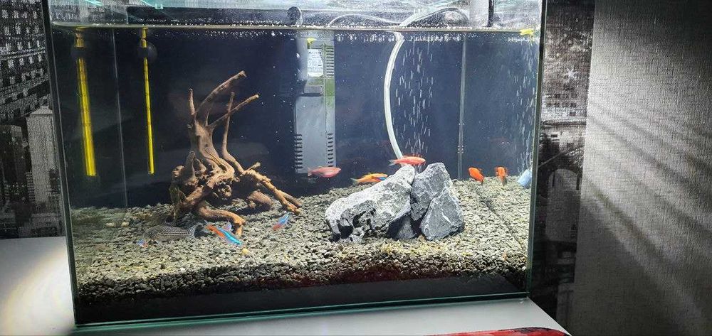 Продам акваріум 22 л