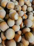 Orzechy laskowe 2 kg