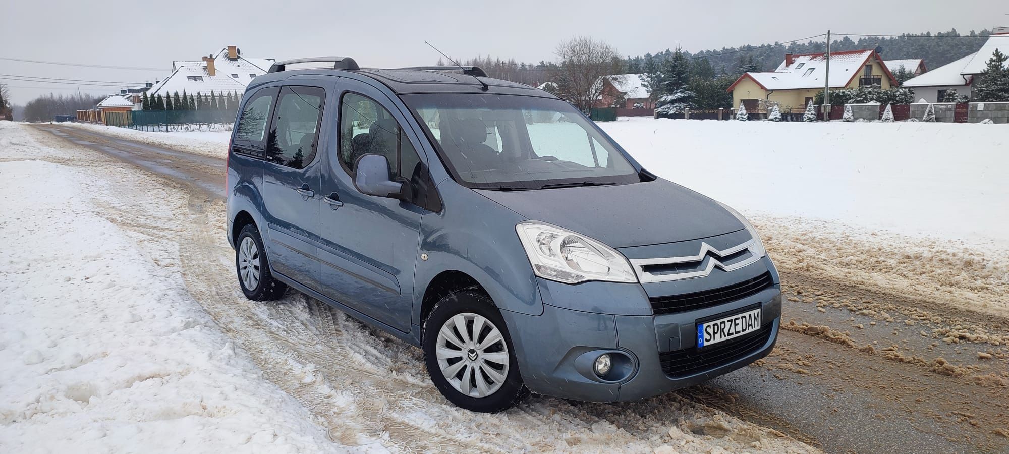 Citroen Berlingo 2010