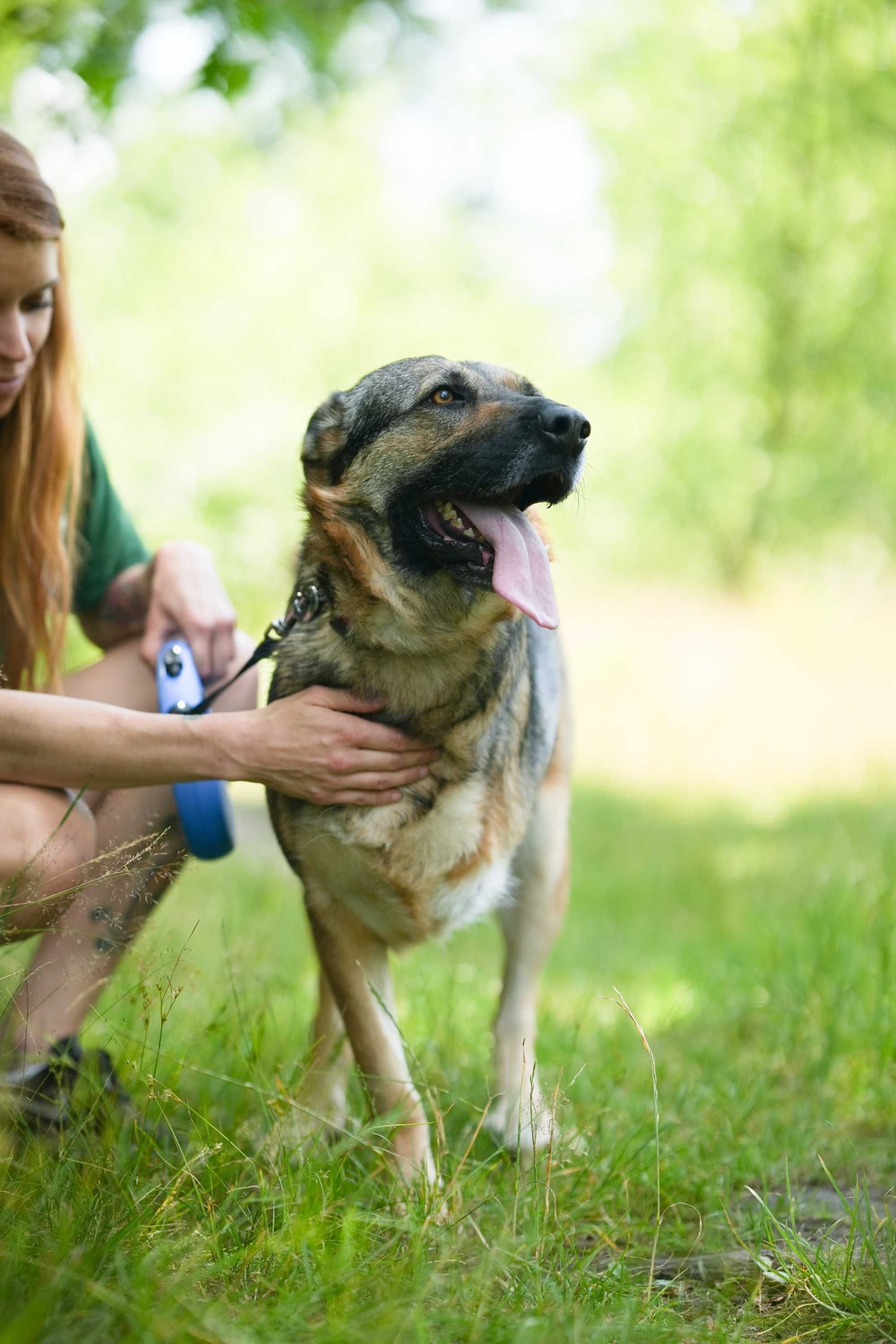 Alinka - psia wojowniczka gotowa na nowy początek. Suczka do adopcji.