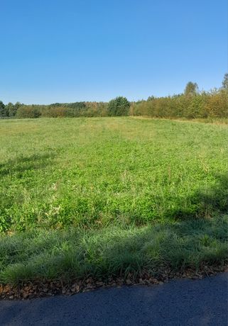 Działka budowlana z WZ. * 19.5a * pow. Mielec, m. Czajkowa