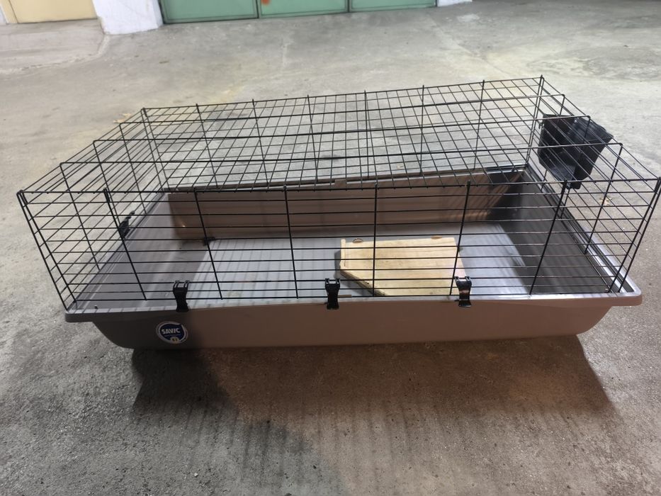 Casota coelho estimação