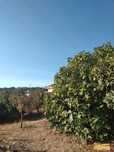 Moradia com terreno