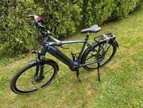 Gazelle Speed 380 Ultimate Heren