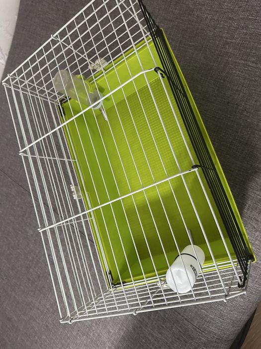 Клітка для гризунів