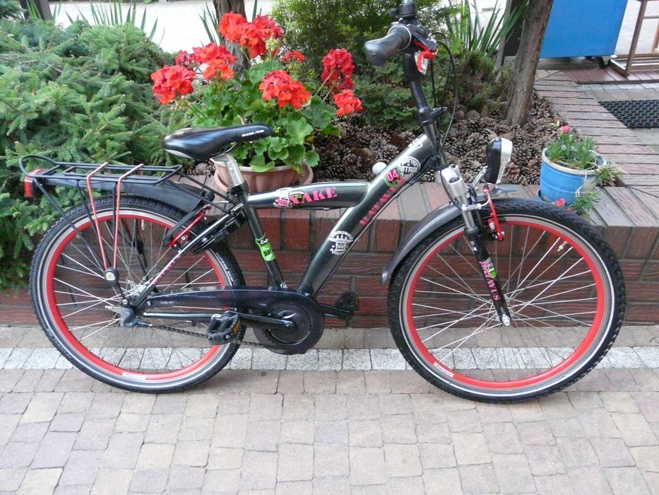 Rower dziecięcy BATAVUS Snake 24"/36- ładny , sprawny Holender