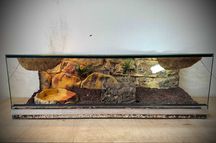Terrarium szklane z pustynnym wystrojem 100x40x33 cm. AlleTerra