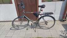 Rower Peugeot 28" - Shimano