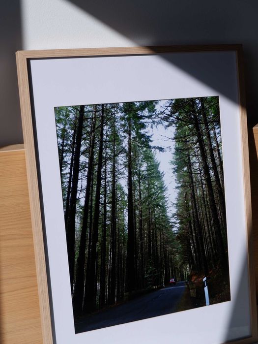 Quadro - Fotografia original - Madeira 1